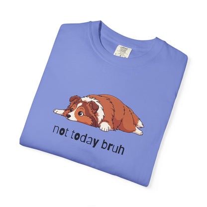 Sheltie Not Today Bruh T-Shirt
