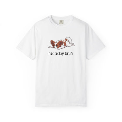 Papillon Not Today Bruh T-Shirt