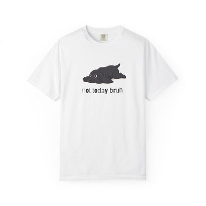 Spaniel Not Today Bruh T-Shirt