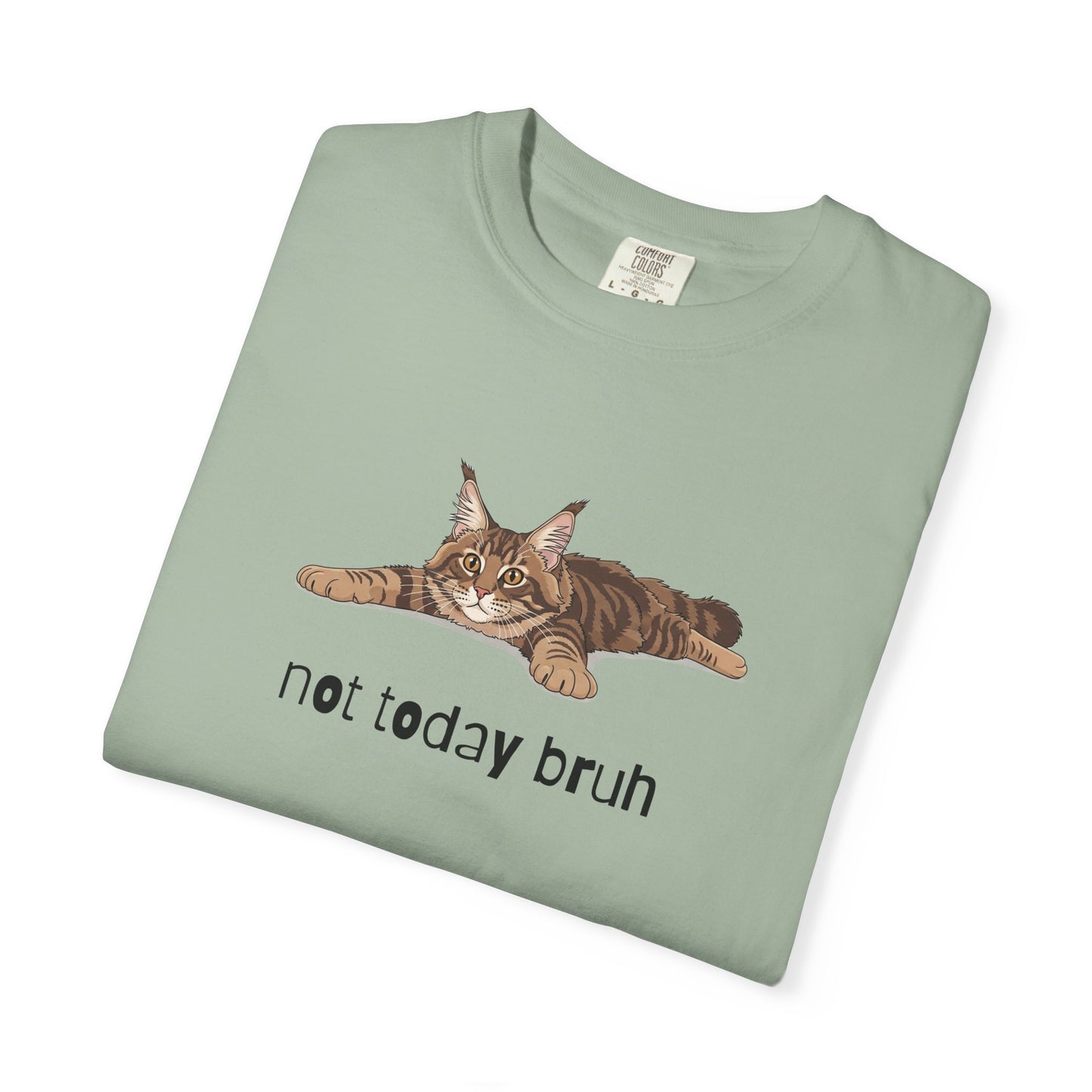 Maine Coon Not Today Bruh T-Shirt