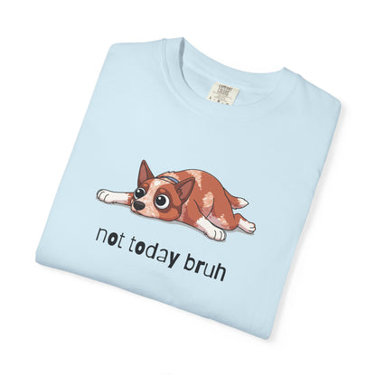 Heeler Not Today Bruh T-Shirt