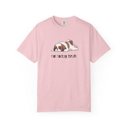 Shih Tzu Not Today Bruh T-Shirt