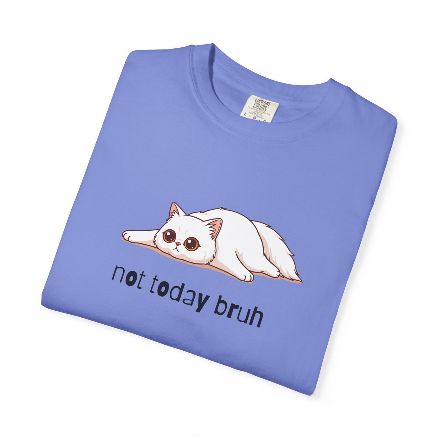 Persian Not Today Bruh T-Shirt