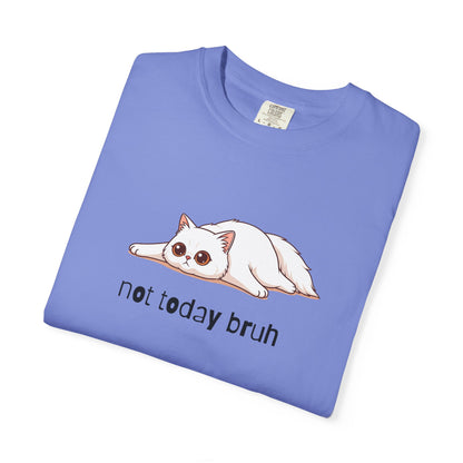 Persian Not Today Bruh T-Shirt
