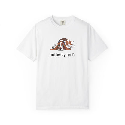 Basset Hound Not Today Bruh T-Shirt