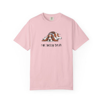 Basset Hound Not Today Bruh T-Shirt