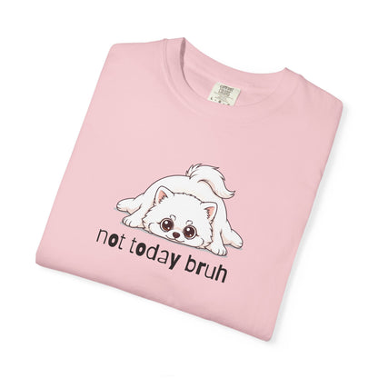 Pomeranian Not Today Bruh T-Shirt