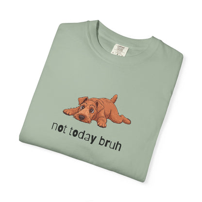 Irish Terrier Not Today Bruh T-Shirt