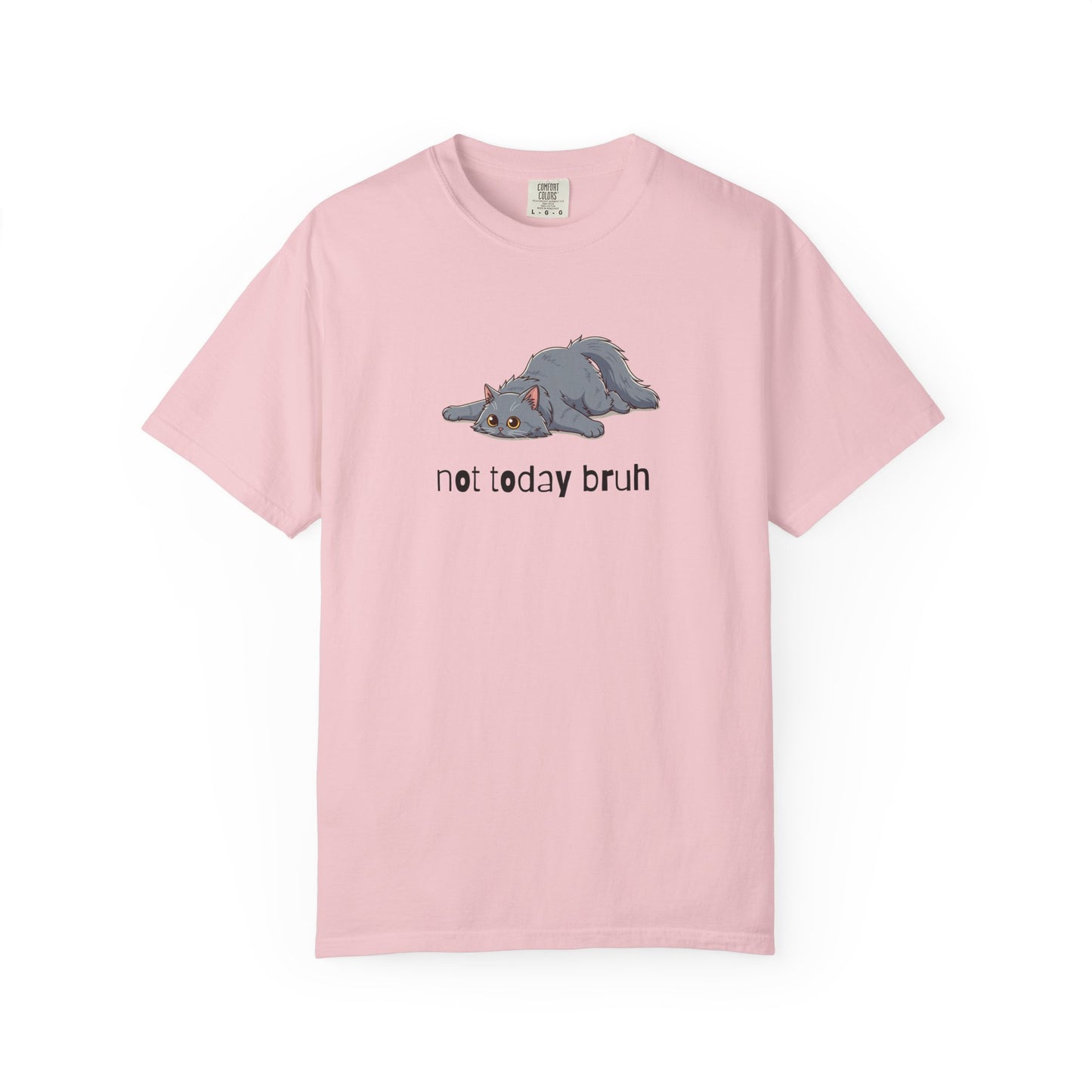Long hair gray cat Not Today Bruh T-Shirt