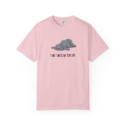 Long hair gray cat Not Today Bruh T-Shirt