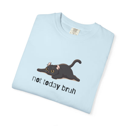 American Curl Not Today Bruh T-Shirt