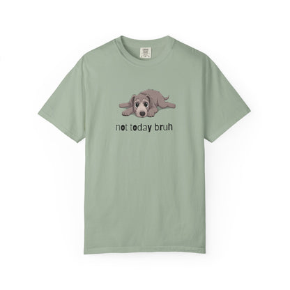 Irish Wolfhound Not Today Bruh T-Shirt