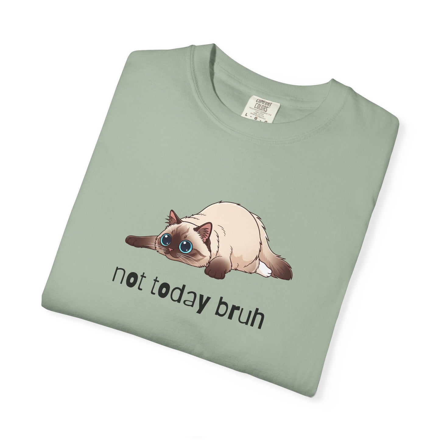 Ragdoll Not Today Bruh T-Shirt