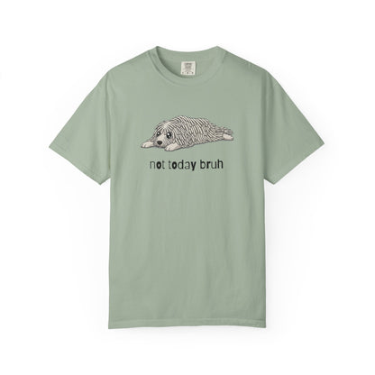 Komondor Not Today Bruh T-Shirt