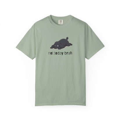 Poodle Not Today Bruh T-Shirt