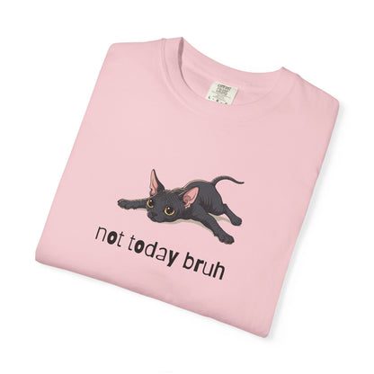Sphynx Not Today Bruh T-Shirt