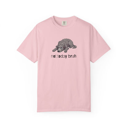 Scottish Deerhound Not Today Bruh T-Shirt