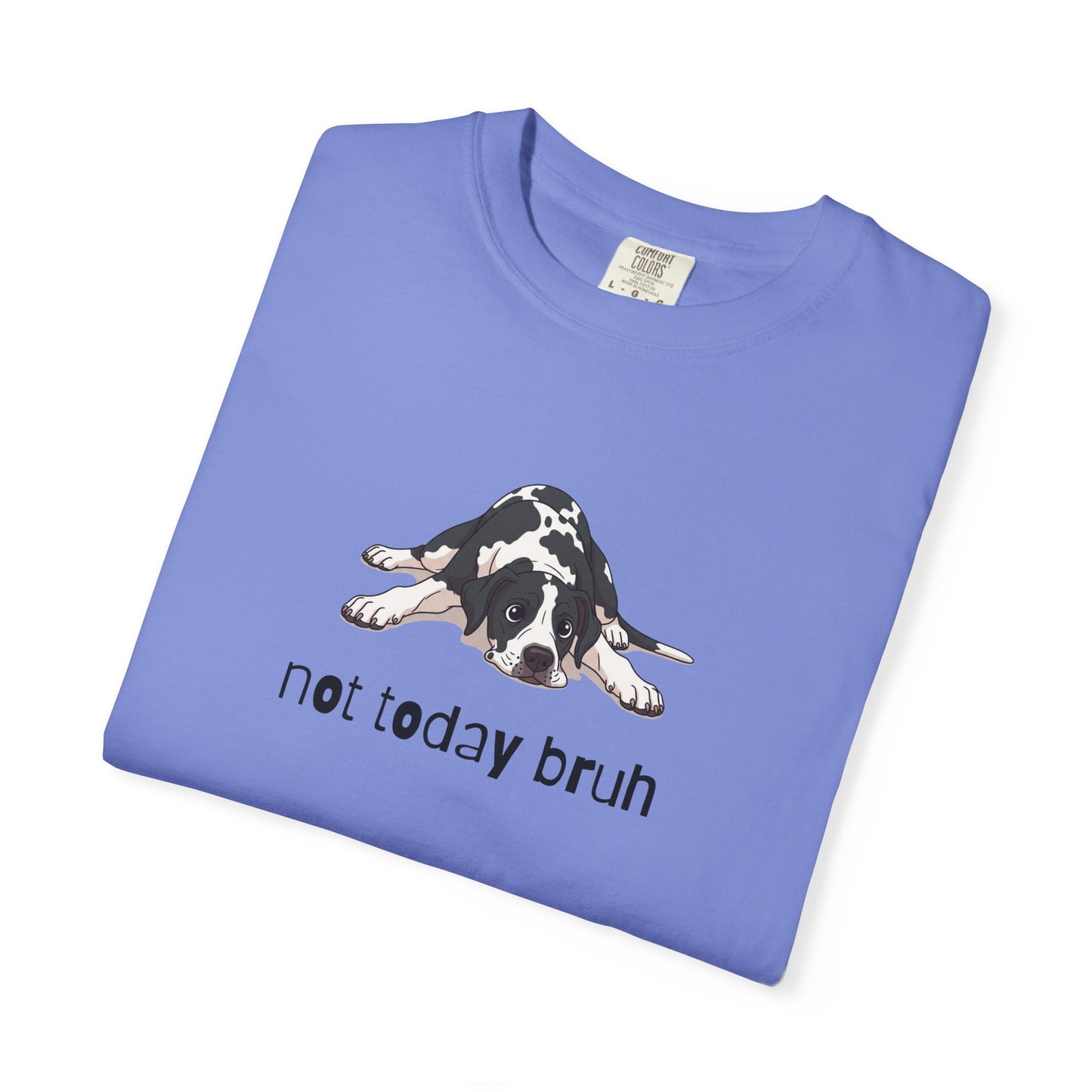 Great Dane Not Today Bruh T-Shirt