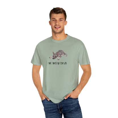 Hairless Dog Not Today Bruh T-Shirt