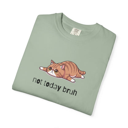 Exotic Shorthair Not Today Bruh T-Shirt