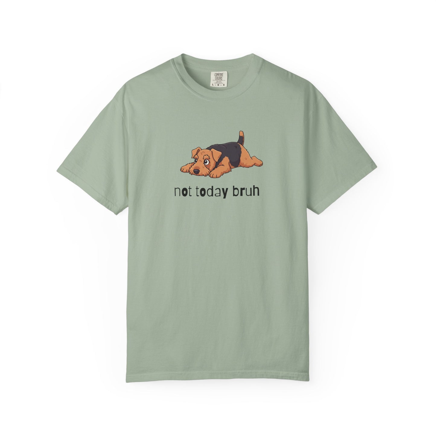 Welshie Not Today Bruh T-Shirt