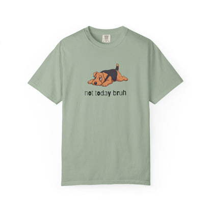 Welshie Not Today Bruh T-Shirt