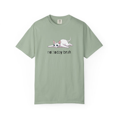 Sphynx Not Today Bruh T-Shirt