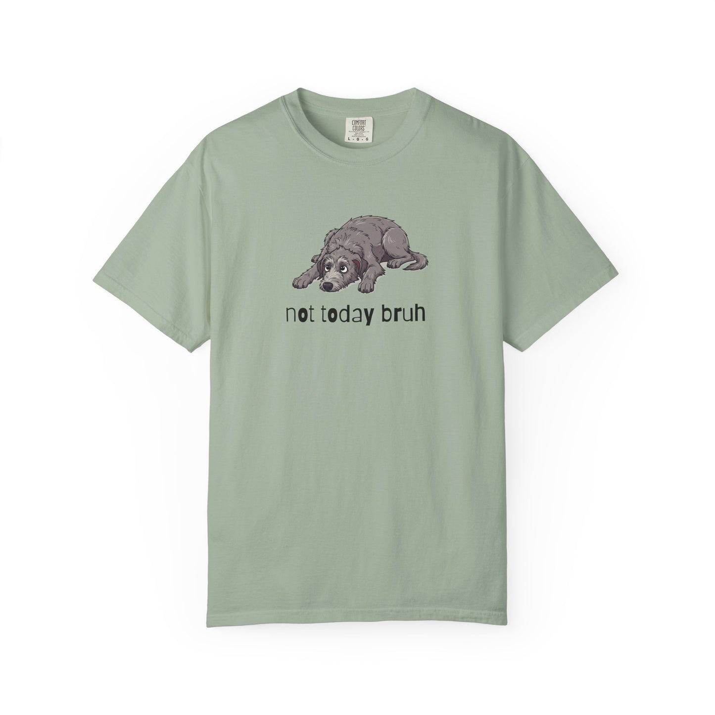 Scottish Deerhound Not Today Bruh T-Shirt