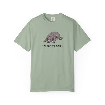Scottish Deerhound Not Today Bruh T-Shirt