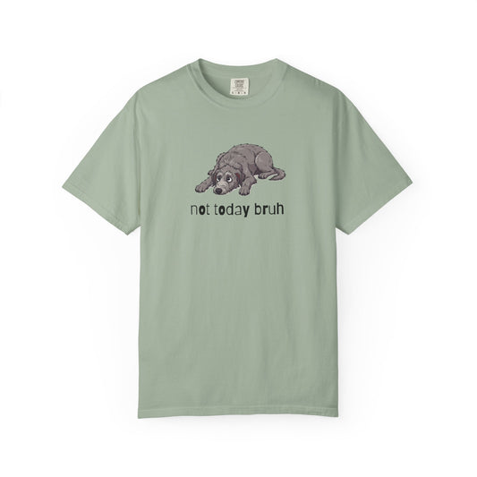 Scottish Deerhound Not Today Bruh T-Shirt