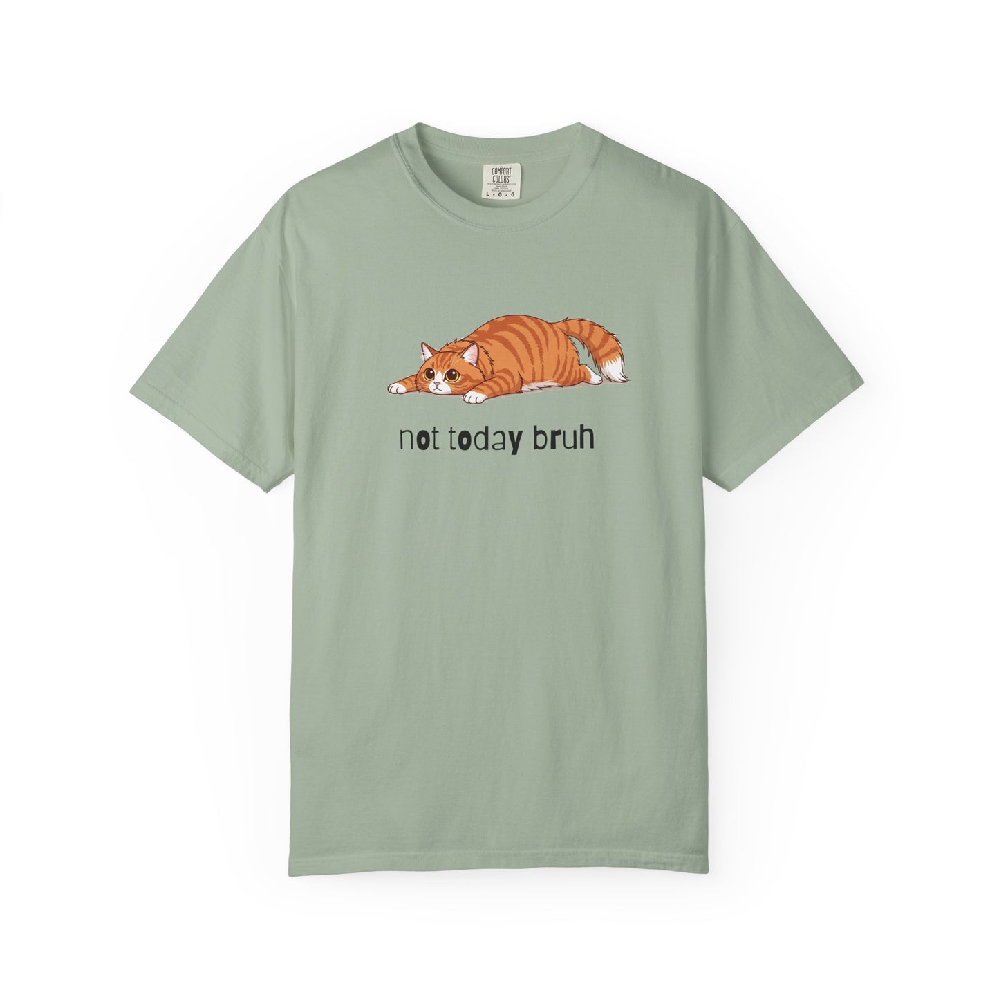 Long hair orange cat Not Today Bruh T-Shirt