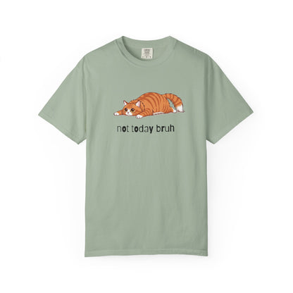 Long hair orange cat Not Today Bruh T-Shirt