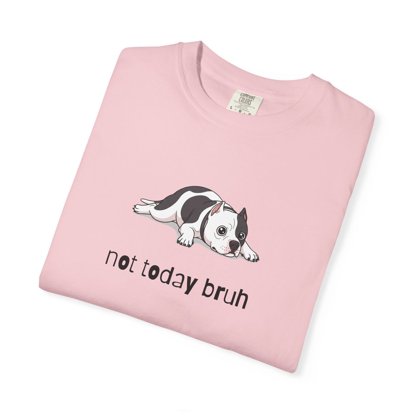 Pitbull Not Today Bruh T-Shirt