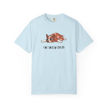 Heeler Not Today Bruh T-Shirt