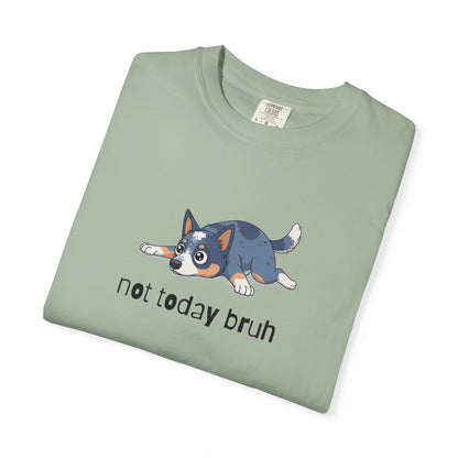 Blue Heeler Not Today Bruh T-Shirt