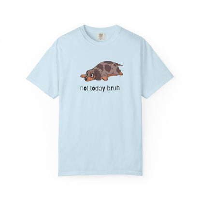 Dacshund Not Today Bruh T-Shirt