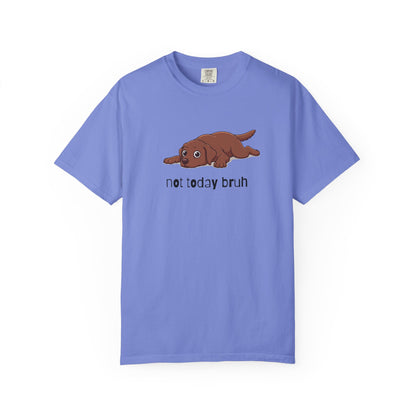 Labrador Not Today Bruh T-Shirt