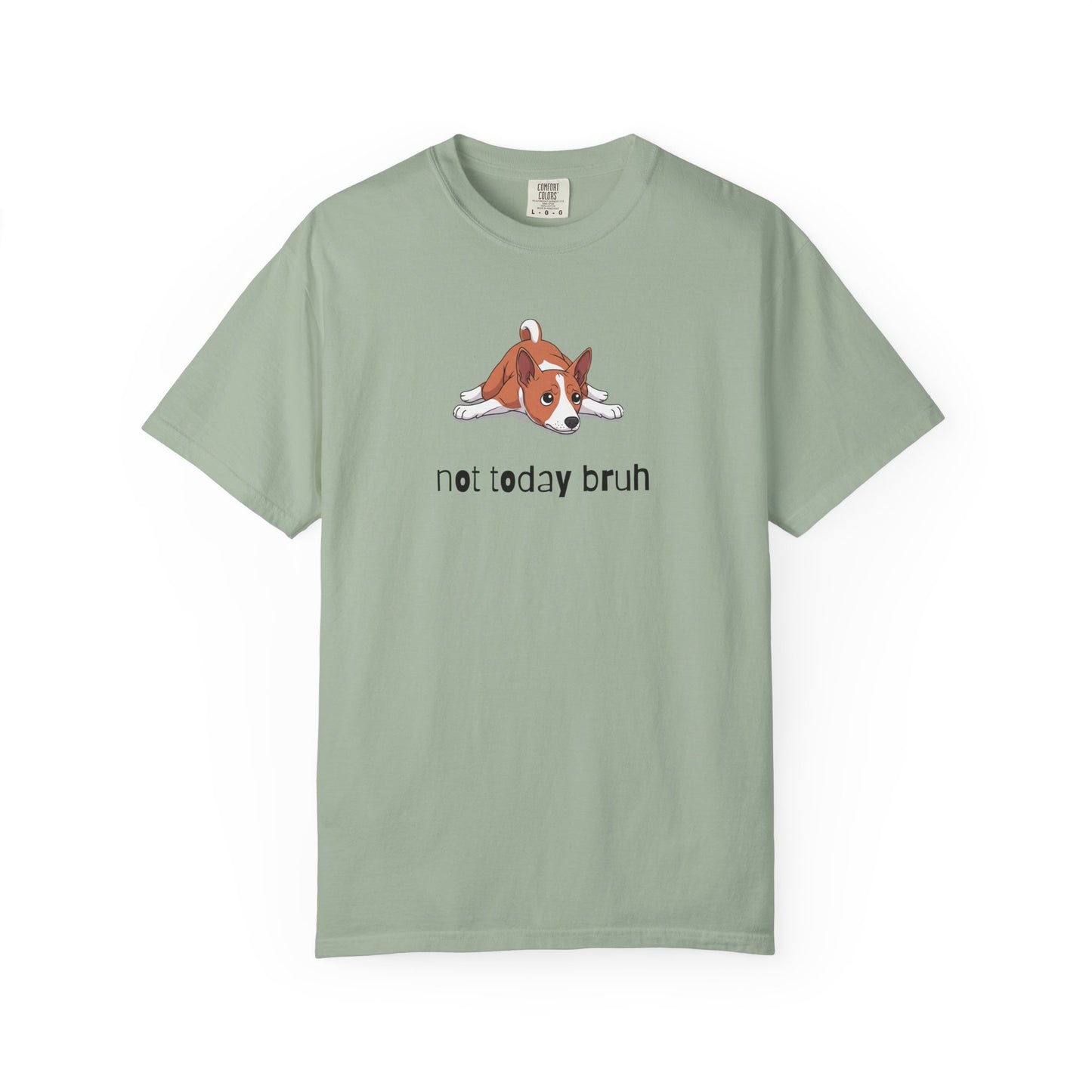Basenji Not Today Bruh T-Shirt