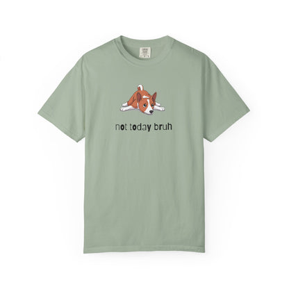 Basenji Not Today Bruh T-Shirt