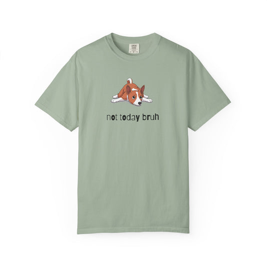 Basenji Not Today Bruh T-Shirt