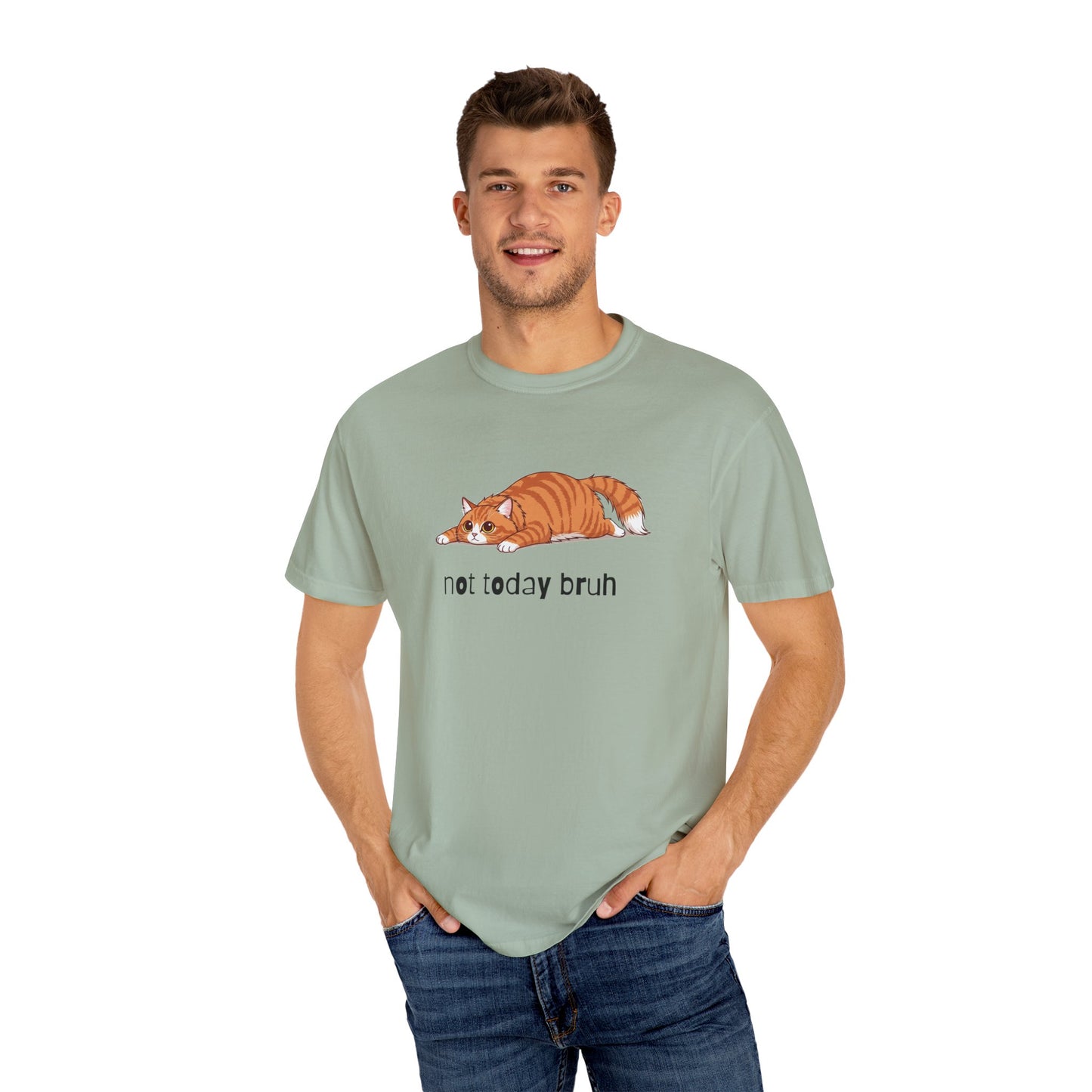 Long hair orange cat Not Today Bruh T-Shirt