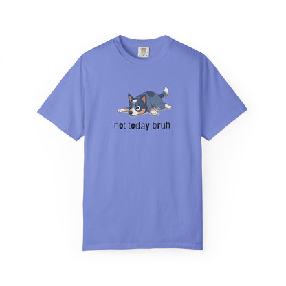 Blue Heeler Not Today Bruh T-Shirt