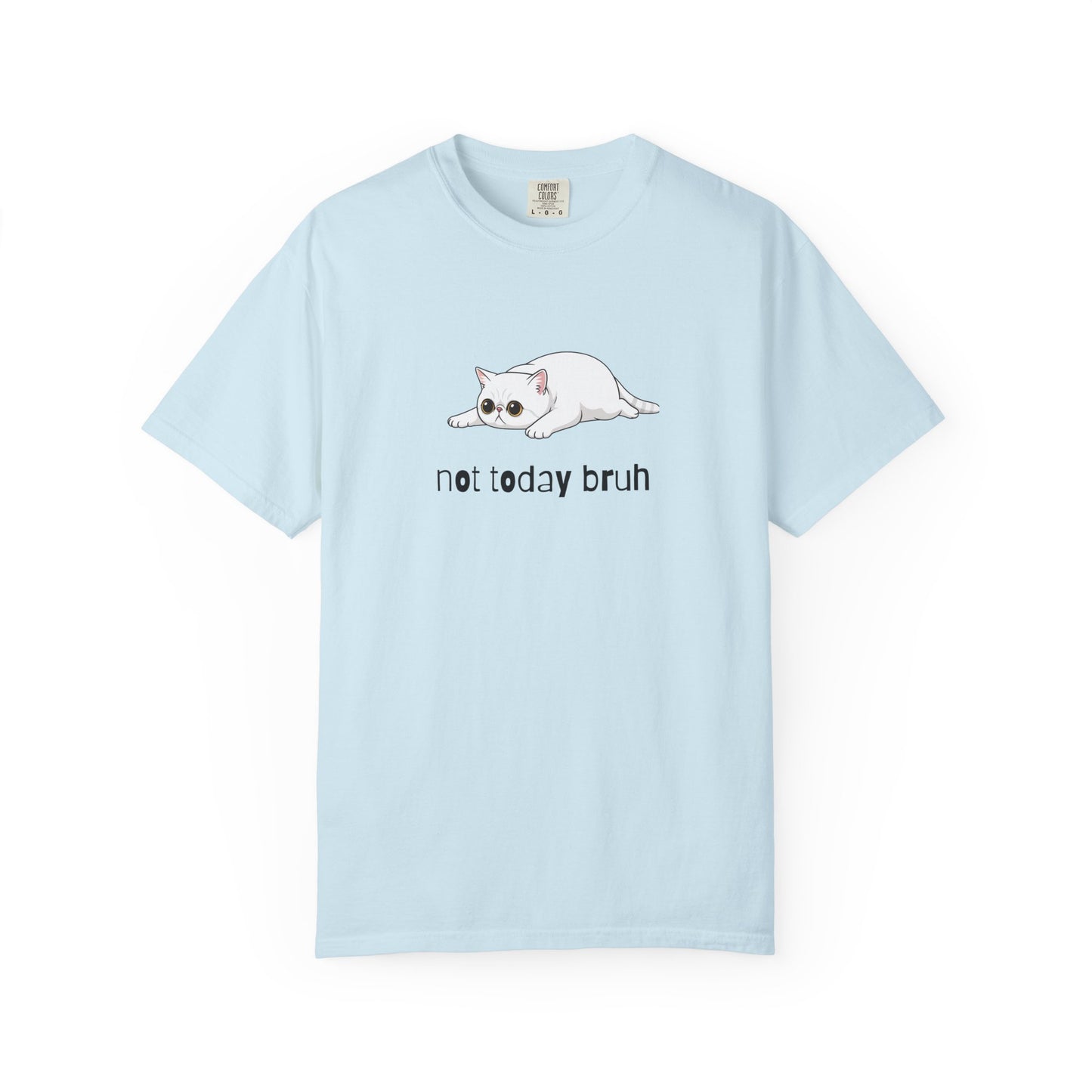 Exotic Shorthair Not Today Bruh T-Shirt