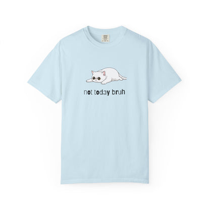Exotic Shorthair Not Today Bruh T-Shirt
