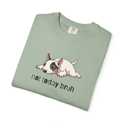 Bull Terrier Not Today Bruh T-Shirt