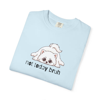 Pomeranian Not Today Bruh T-Shirt