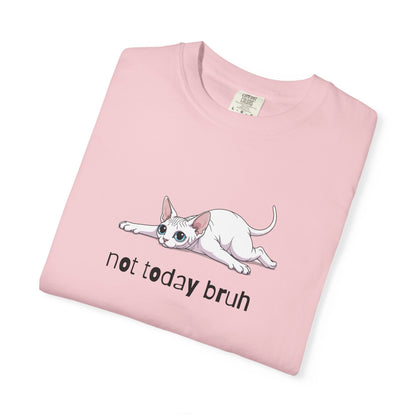 Sphynx Not Today Bruh T-Shirt