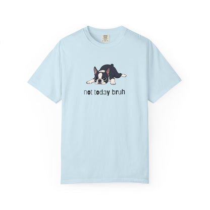 Boston Terrier Not Today Bruh T-Shirt