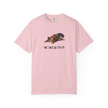 Long hair chimera cat Not Today Bruh T-Shirt