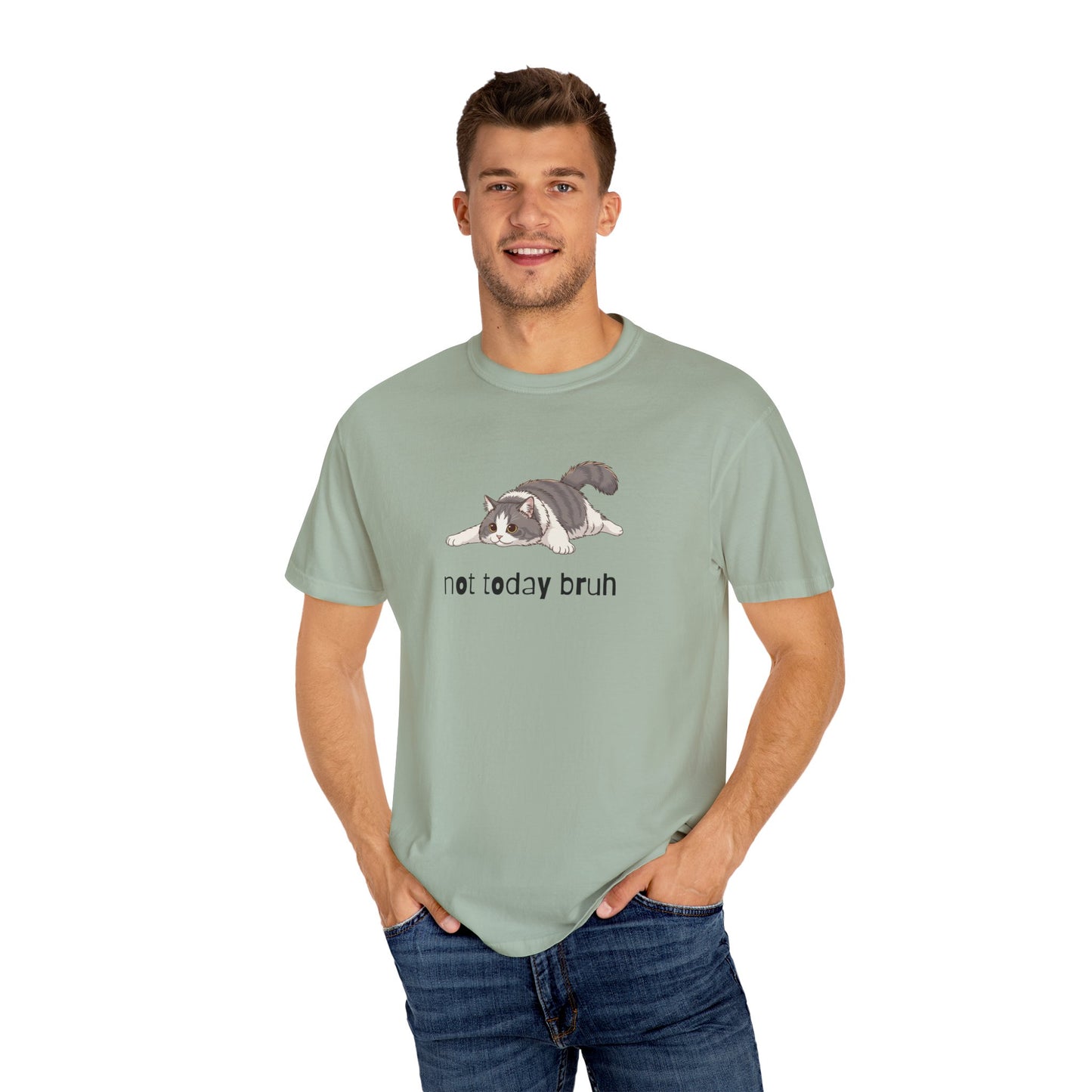 Long hair bi-color gray cat Not Today Bruh T-Shirt